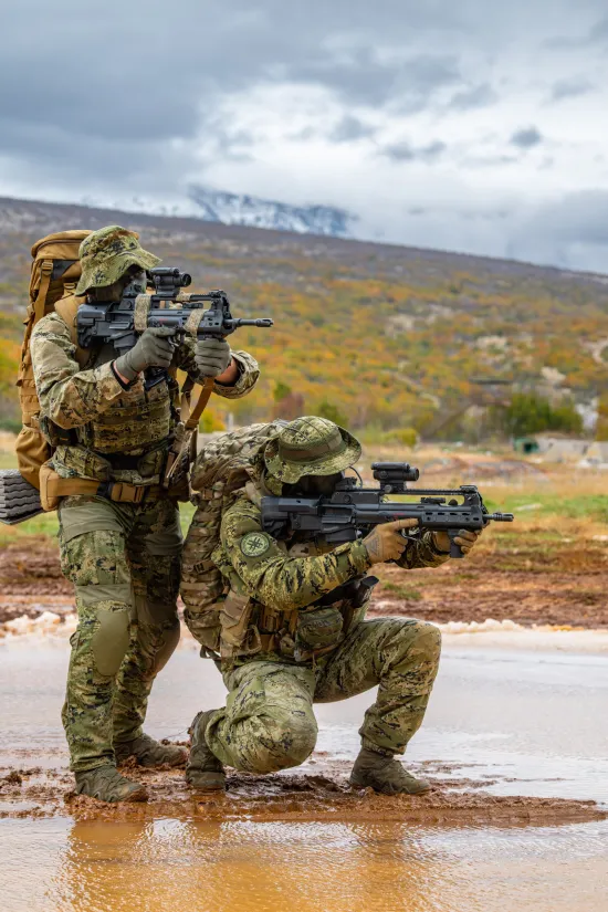 O-875387-550 O-875387-550