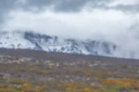 O-875390-550 O-875390-550