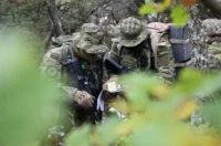 O-875391-550 O-875391-550