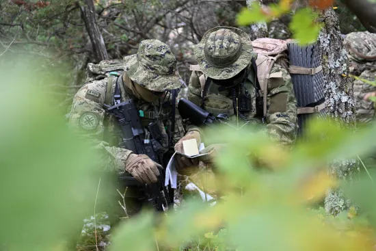 O-875391-550 O-875391-550