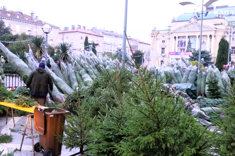 PRODAJA JELKE BOR TRŽNICA 2025 KANAL RI PRODAJA JELKE BOR TRŽNICA 2025 KANAL RI