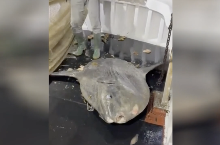 Screenshot 2025-12-04 at 9.34.09 AM