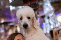 božućna bajka učka 2025 155 božućna bajka učka 2025 155