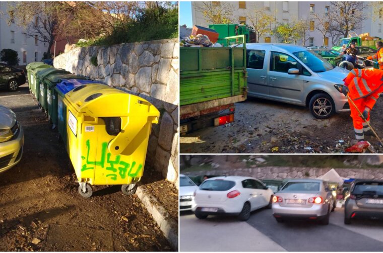 čistoća ratka petrovića