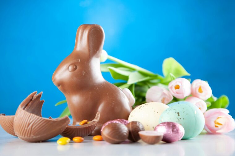 pexels-george-dolgikh-551816-2072158 pexels-george-dolgikh-551816-2072158