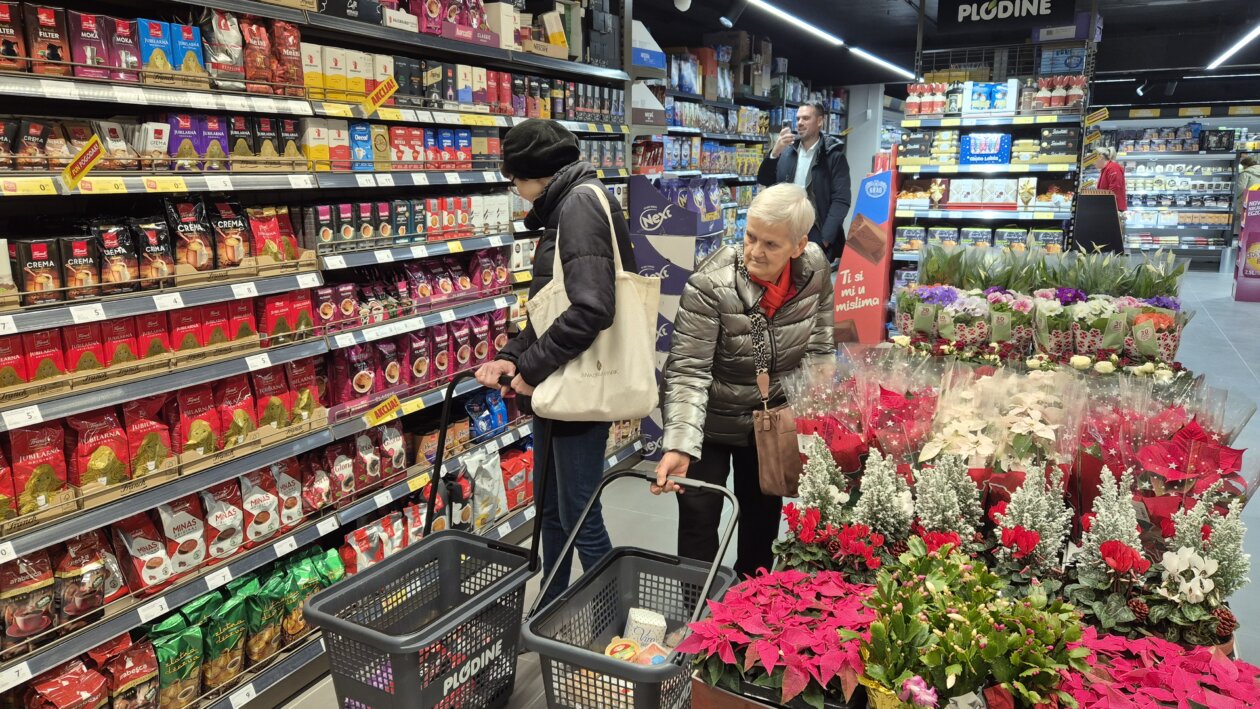 plodine drenova otvaranje 12 plodine drenova otvaranje 12