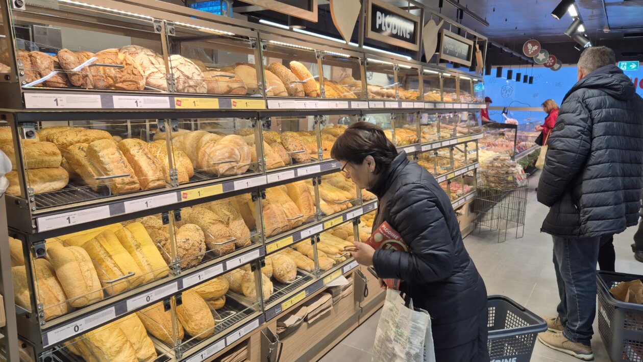 plodine drenova otvaranje 13 plodine drenova otvaranje 13