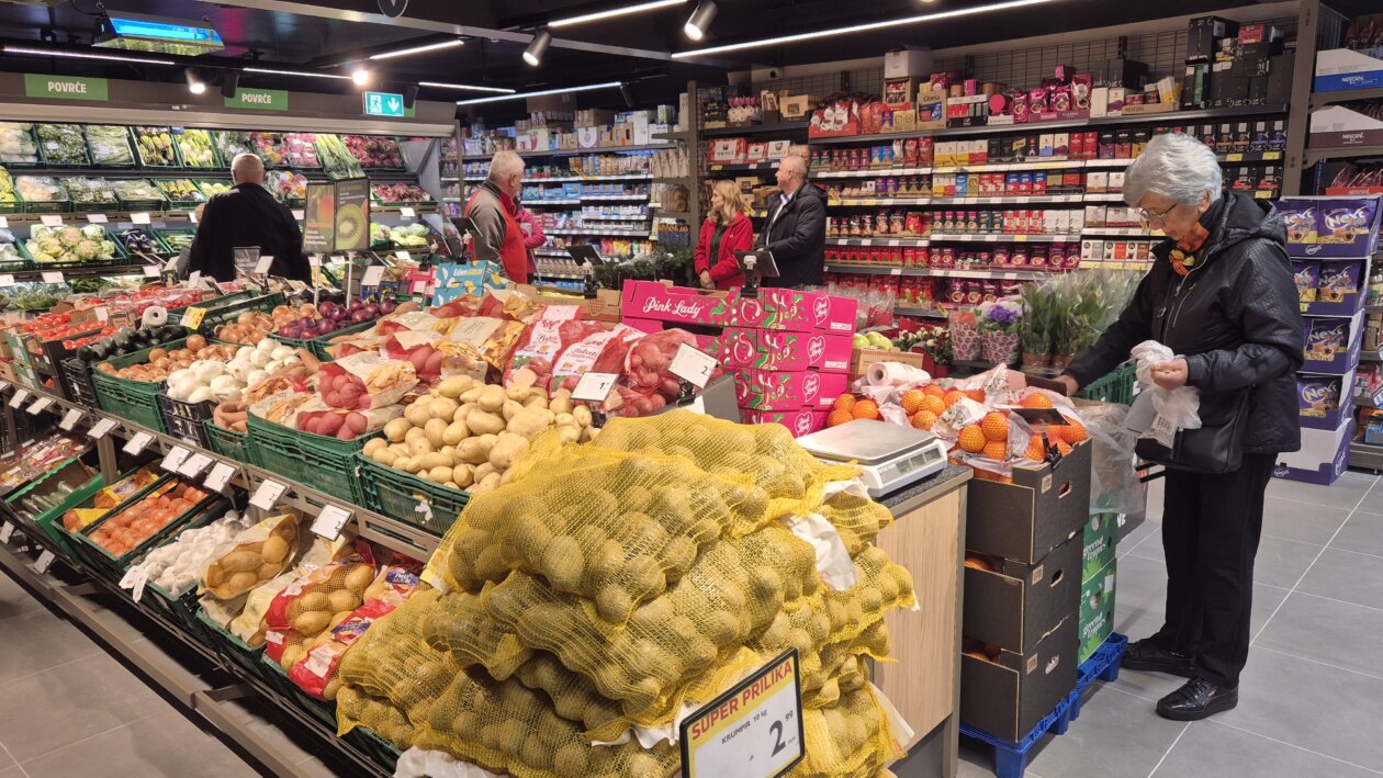 plodine drenova otvaranje 133 plodine drenova otvaranje 133