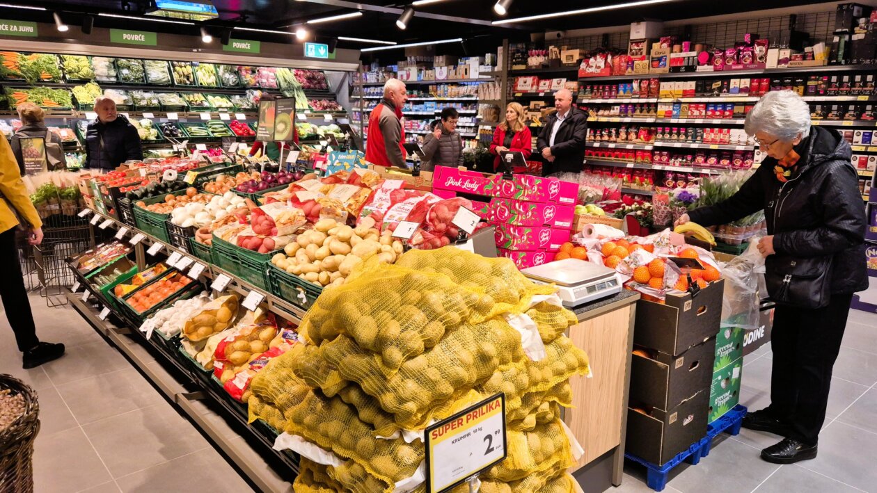 plodine drenova otvaranje 144 plodine drenova otvaranje 144