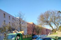 r petrovića uklanjanje nereda