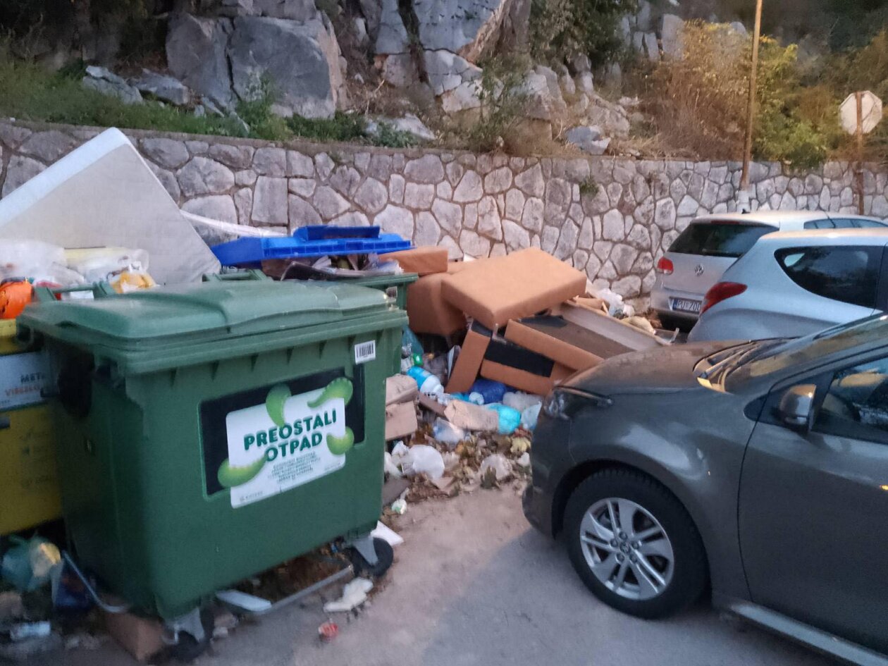 ratka petrovića nered 2