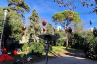 velvet 2025 lampice 12