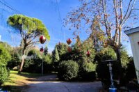 velvet 2025 lampice 13