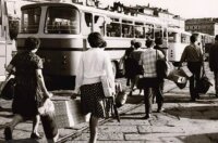 611618162_1895310494403622_1183713766289796614_n