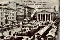 611639058_1895310614403610_110212142074201972_n