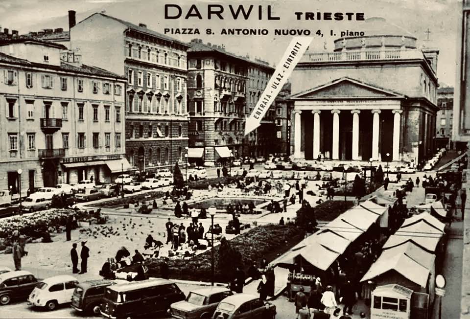 611639058_1895310614403610_110212142074201972_n