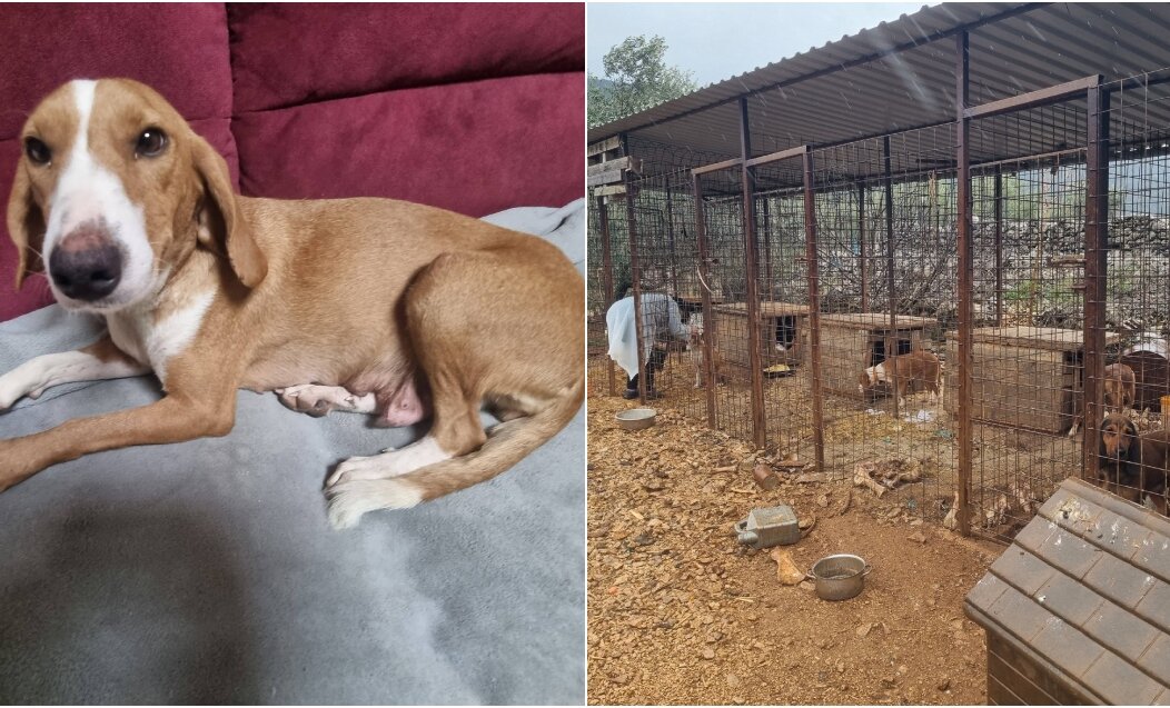 BeFunky-collage – 2026-01-07T174533.419 BeFunky-collage – 2026-01-07T174533.419