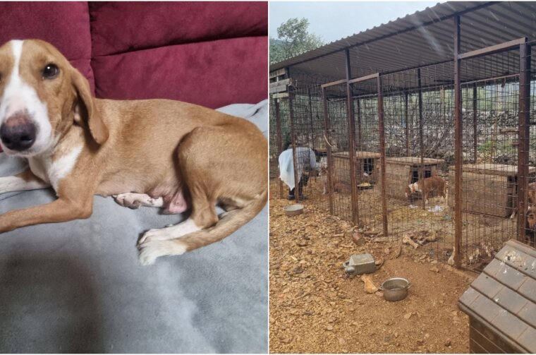 BeFunky-collage – 2026-01-07T174533.419