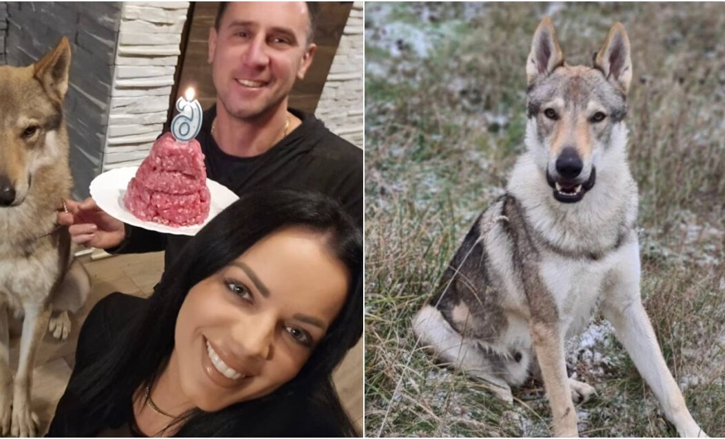 BeFunky-collage – 2026-01-08T115008.383