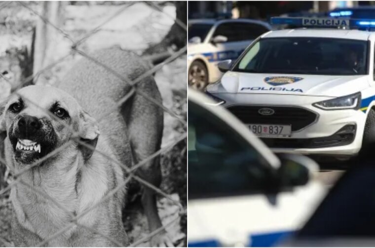 BeFunky-collage (33) BeFunky-collage (33)