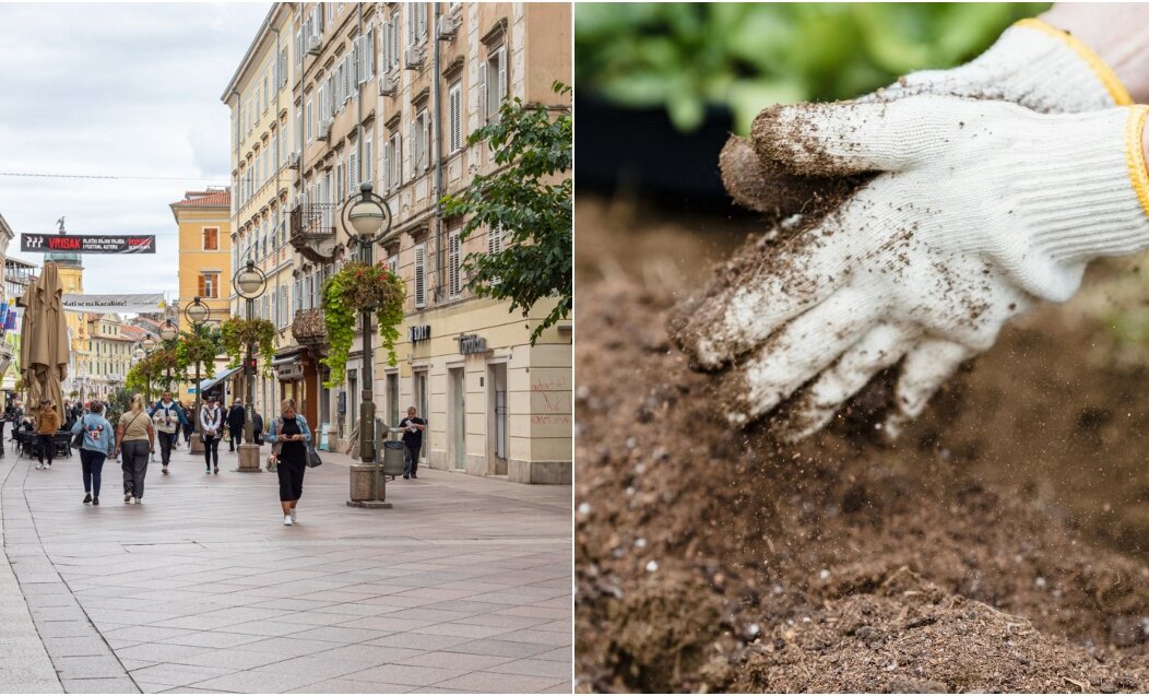 BeFunky-collage (88)