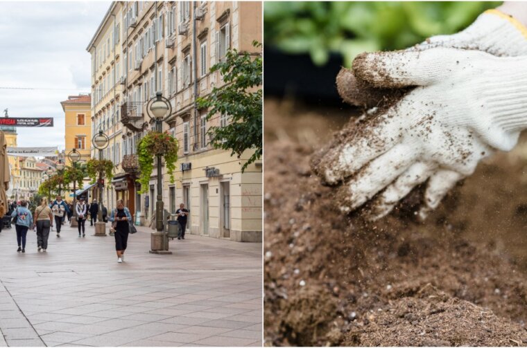 BeFunky-collage (88) BeFunky-collage (88)