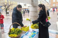 Dan-mimoza-Vedran-Vivoda