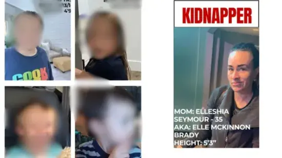 H-81fe1fe5-53bc-4283-ab0e-05d07426be1c-550