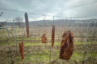 IMG-20260123-WA0012-1024×768