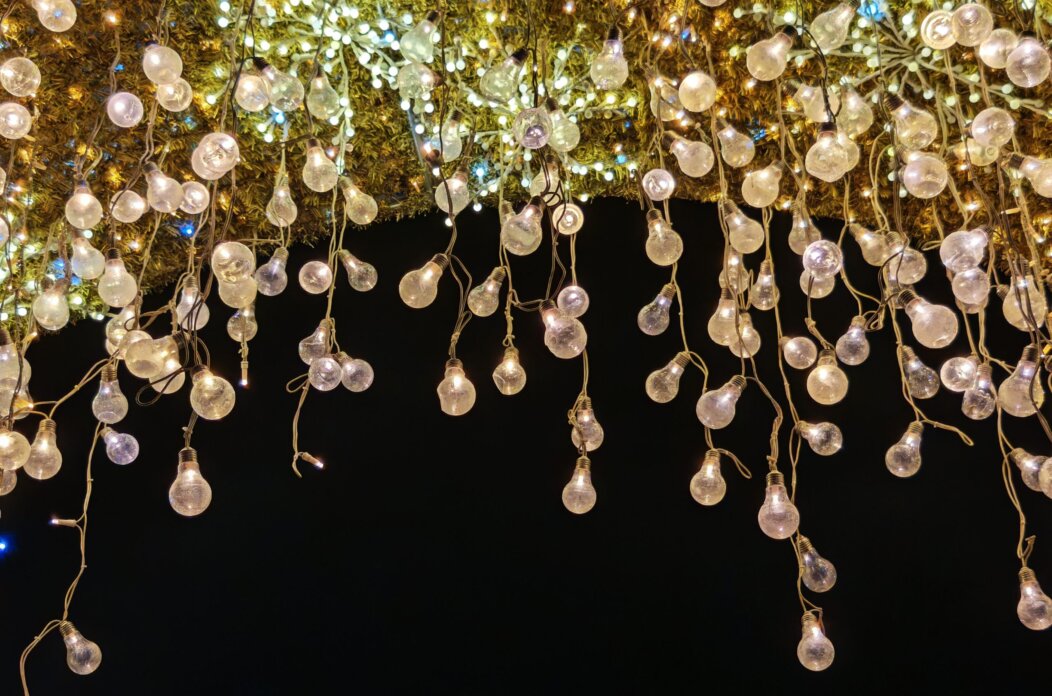 Milijana-Simunovic-Carolija-adventa-scaled Milijana-Simunovic-Carolija-adventa-scaled