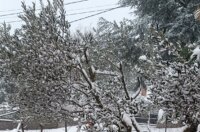 SNIJEG JUŠIĆI 060126