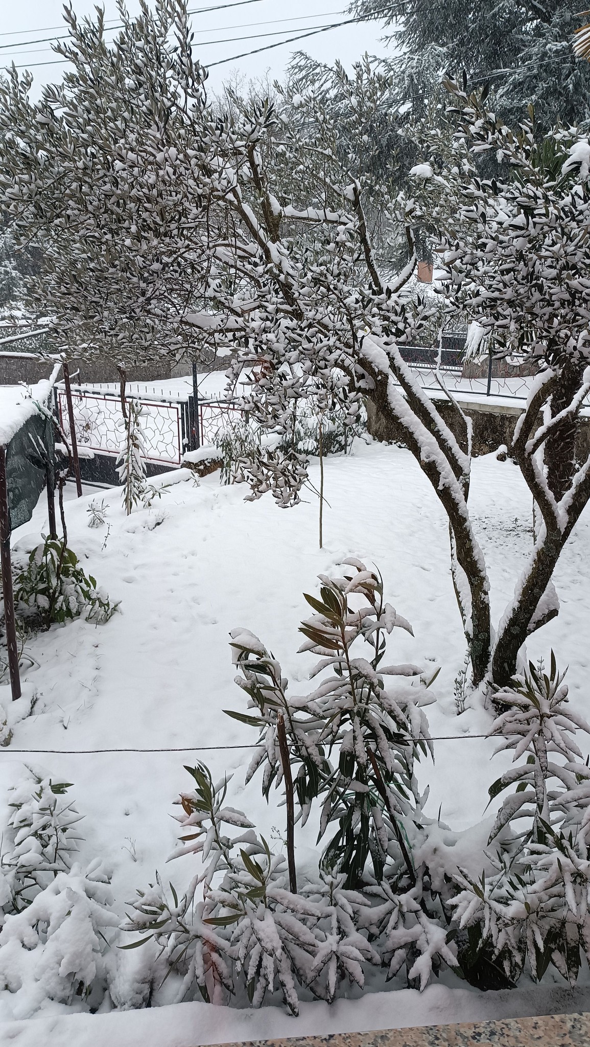 SNIJEG JUŠIĆI 060126