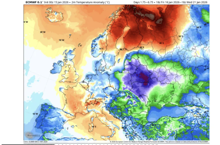 Screenshot 2026-01-16 at 2.07.56 PM