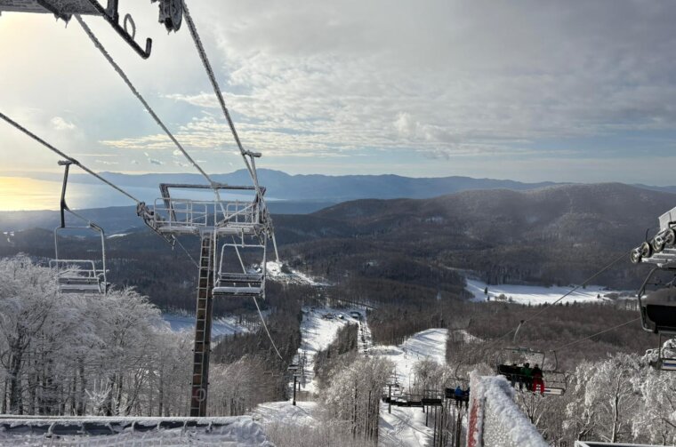 WhatsApp-Image-2026-01-10-at-15.07.39