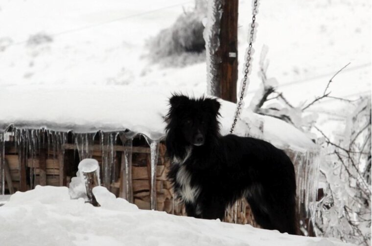 cf74be2a-8bdf-4dea-a08a-c95cd43879f6 cf74be2a-8bdf-4dea-a08a-c95cd43879f6