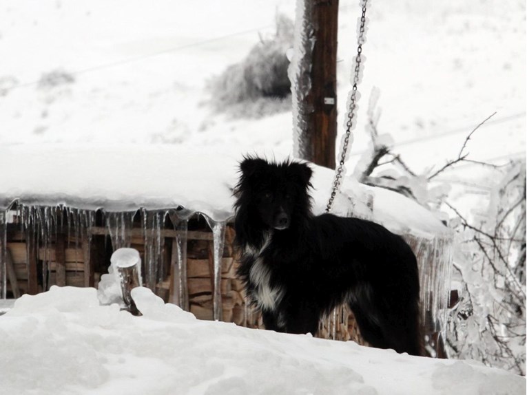 cf74be2a-8bdf-4dea-a08a-c95cd43879f6 cf74be2a-8bdf-4dea-a08a-c95cd43879f6