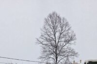 snijeg 060126 Viškovo