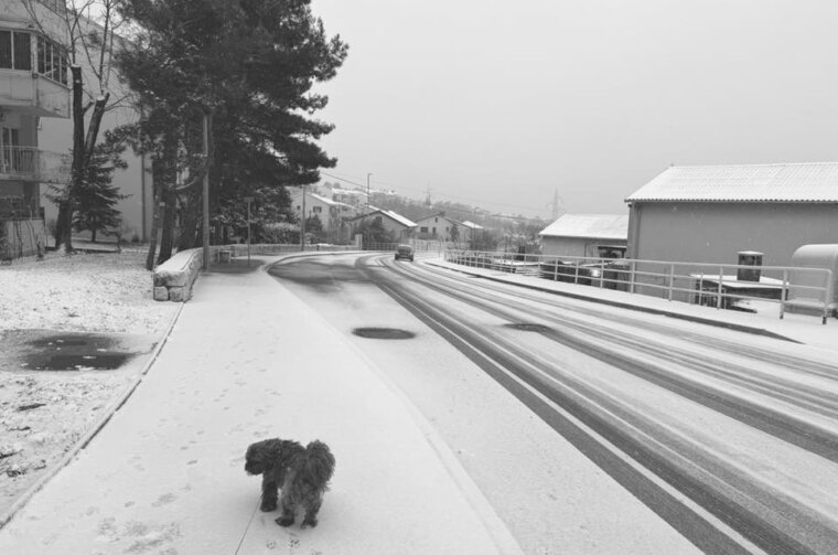 snijeg 060126 drenova 2