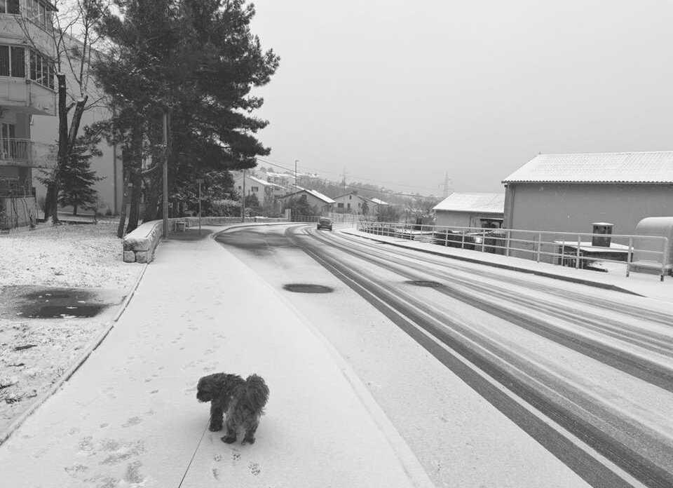 snijeg 060126 drenova 2