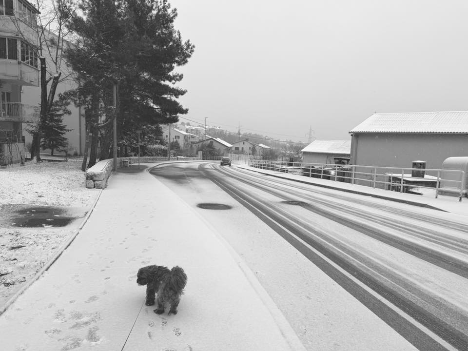 snijeg 060126 drenova 2