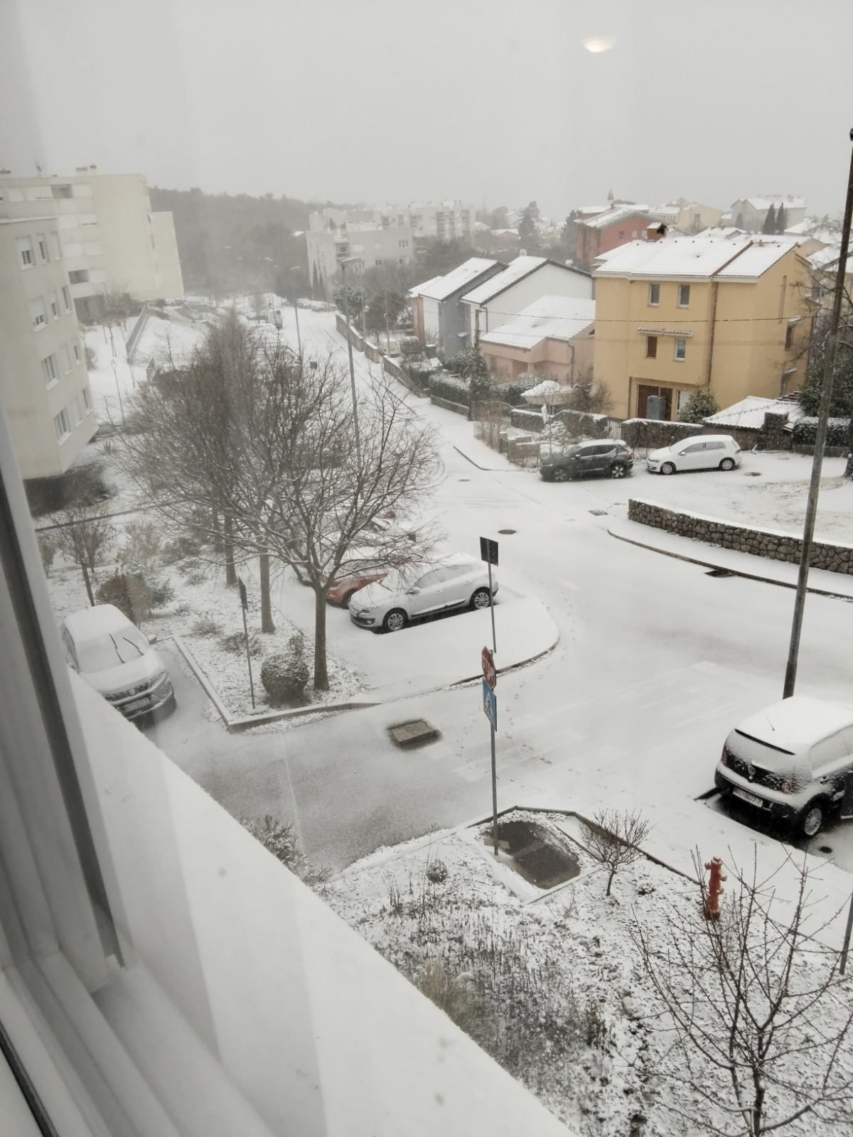 snijeg 060126 drenova 3