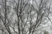 snijeg 060126 tURNIĆ