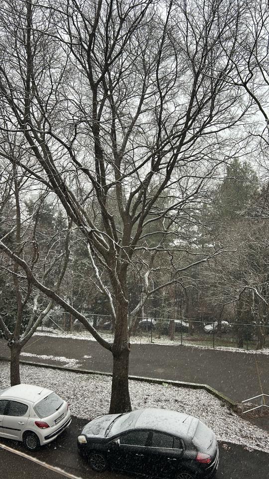 snijeg 060126 tURNIĆ