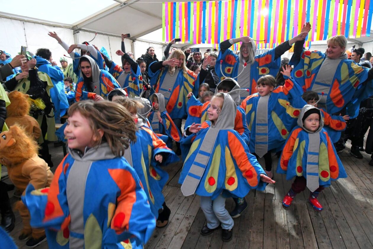 viškovo karneval 2026 12