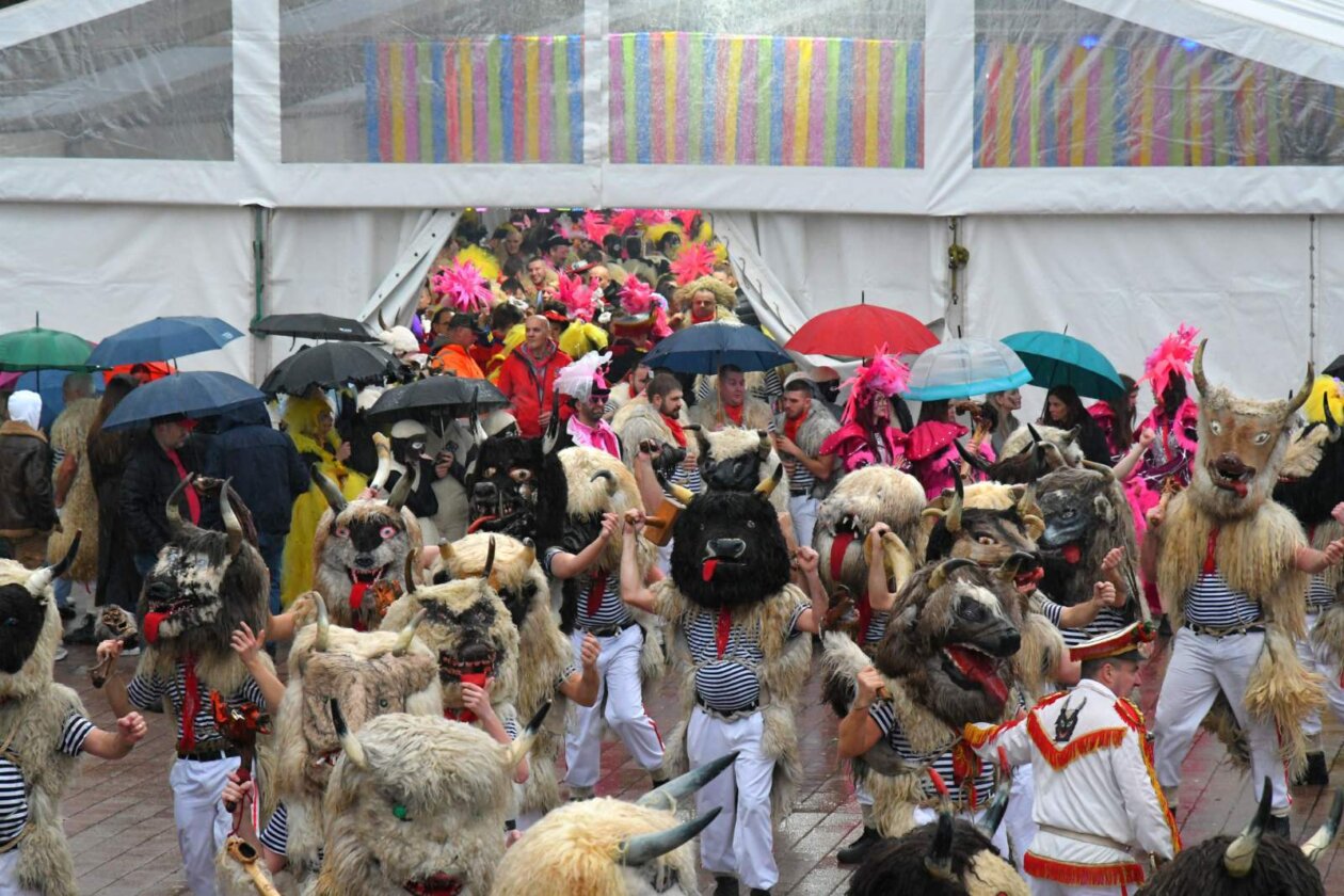 viškovo karneval 2026 13