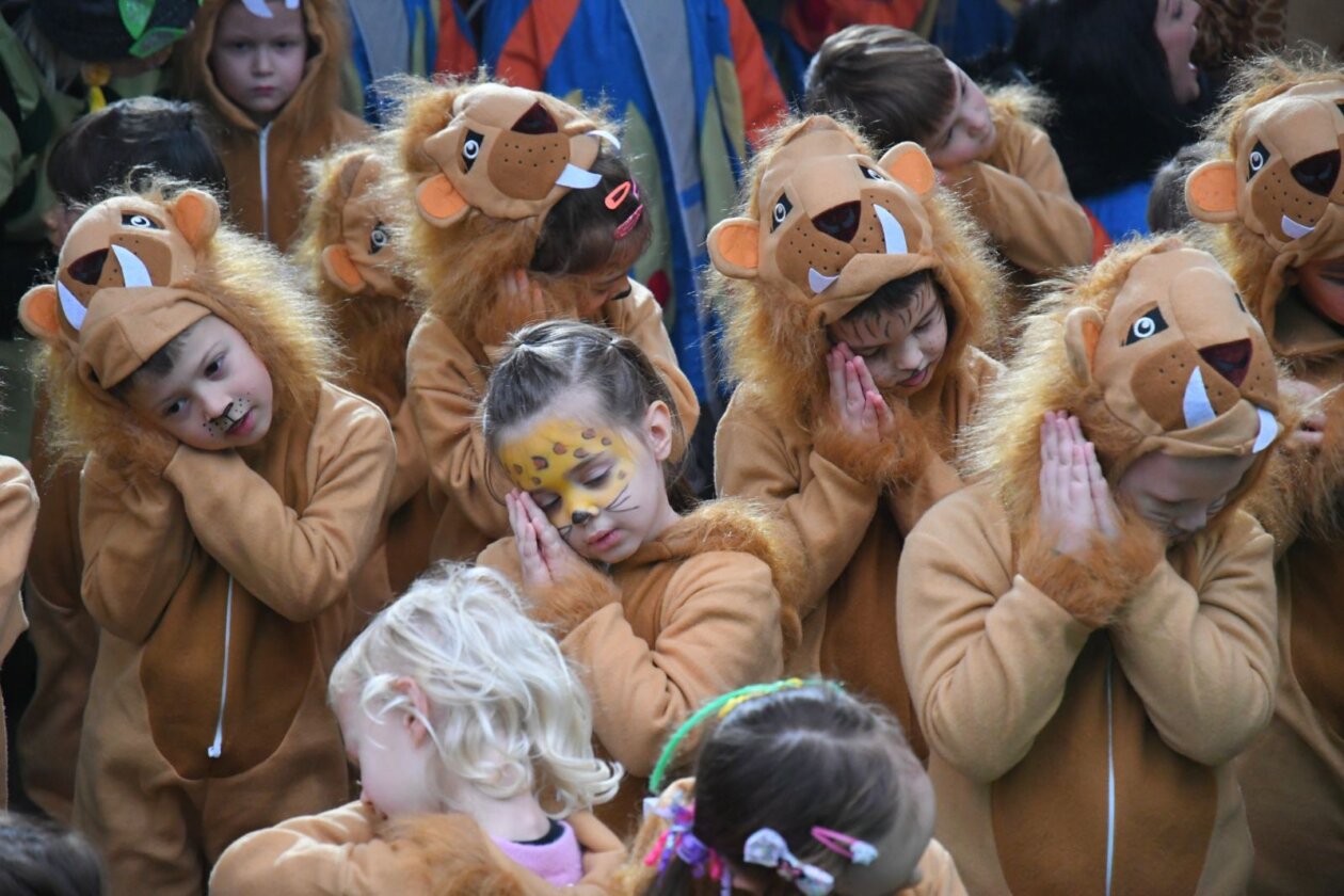 viškovo karneval 2026 a16