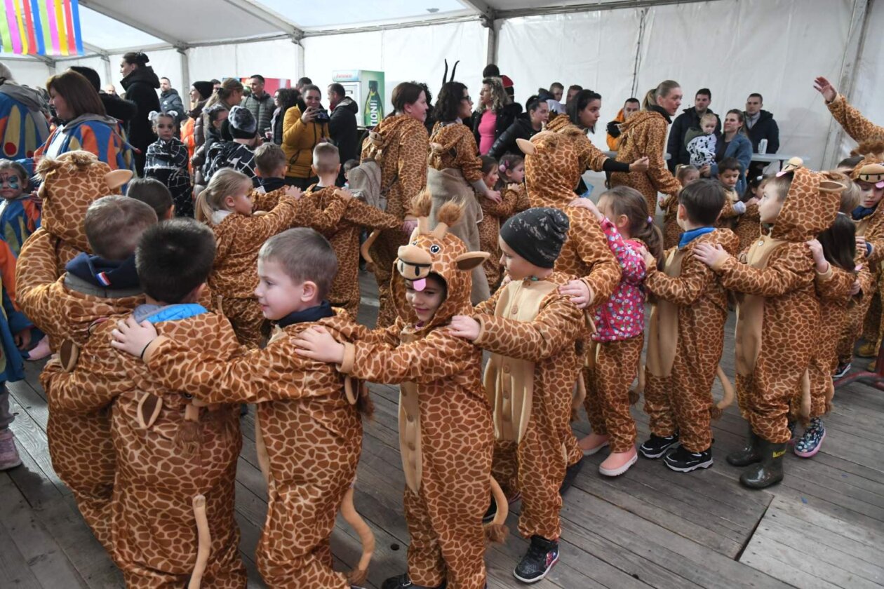 viškovo karneval 2026 b1