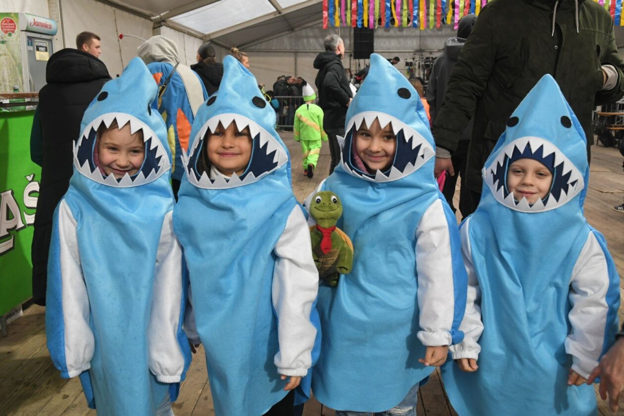 viškovo karneval 2026 b14