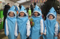 viškovo karneval 2026 b14