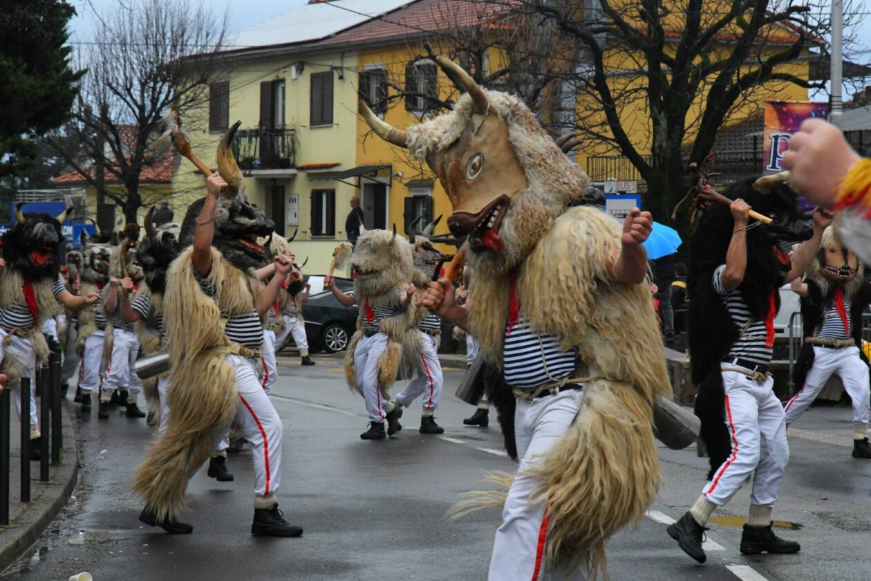 viškovo karneval 2026 c14